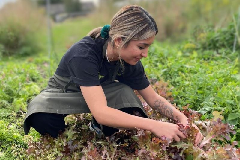 Jessica Sacco_W50BR25-scholarship-top25